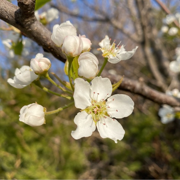 EXTRA LABEL - Picture 1 of 1